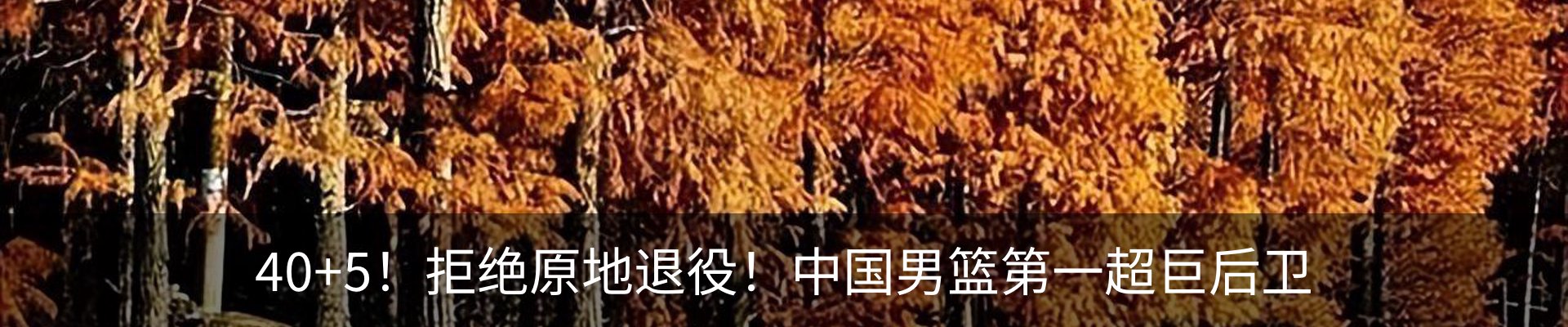 内页banner