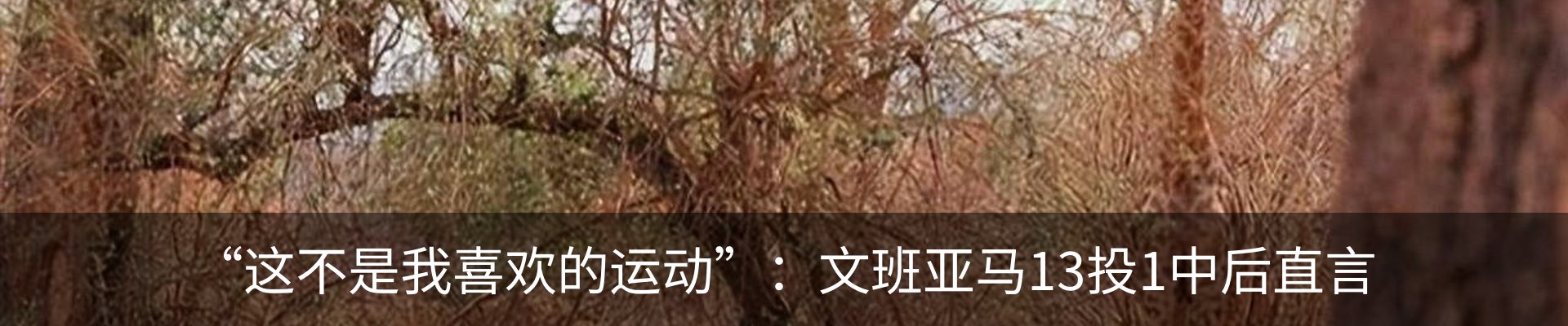 内页banner