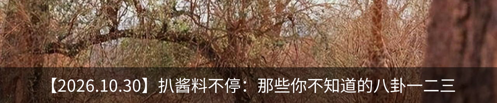 内页banner