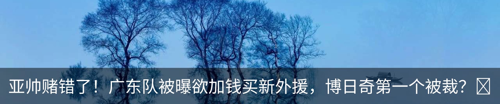 内页banner