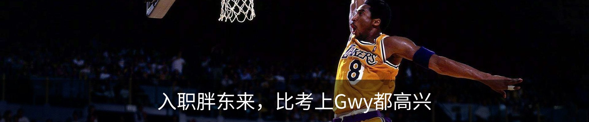 内页banner