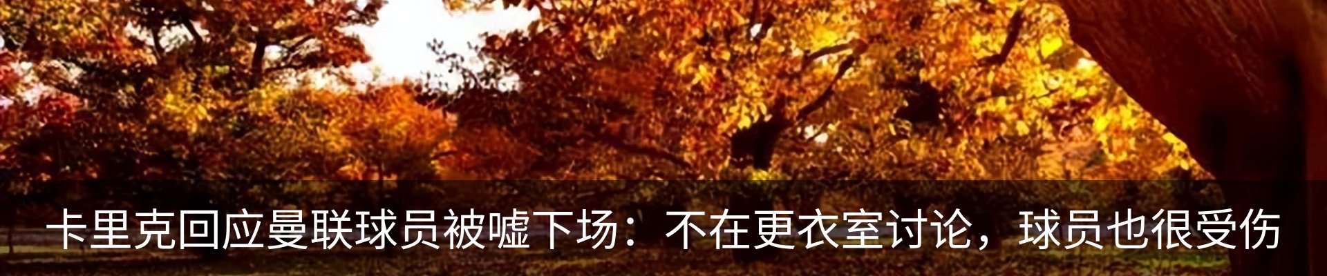 内页banner