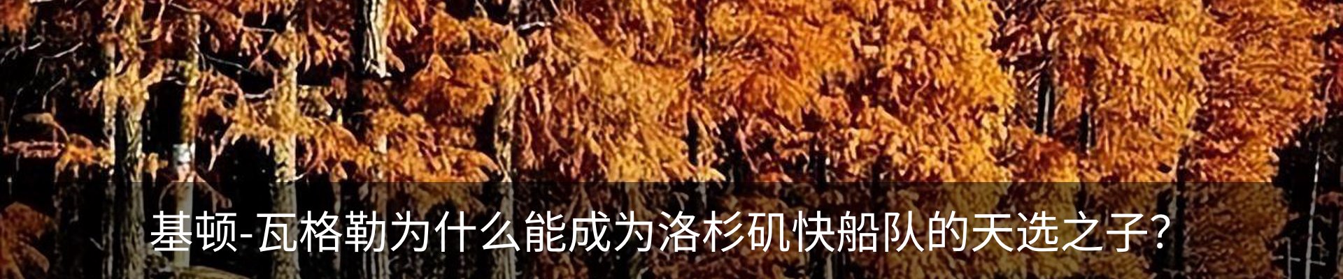 内页banner