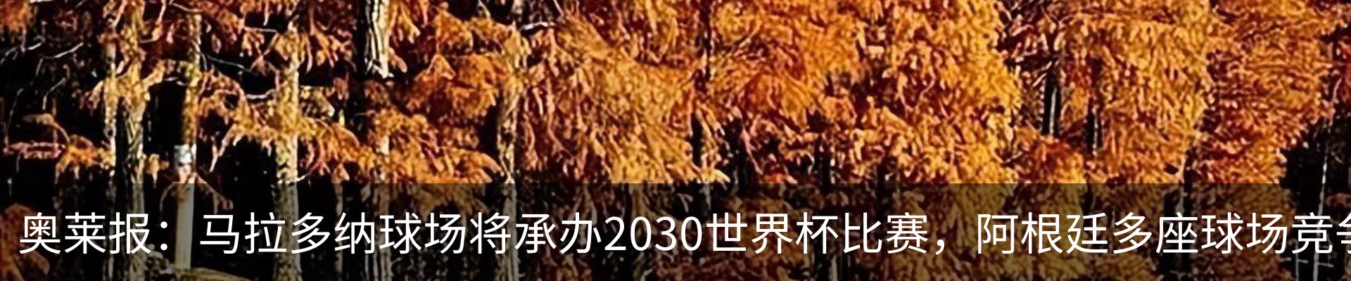 内页banner