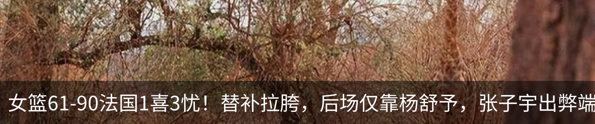 内页banner