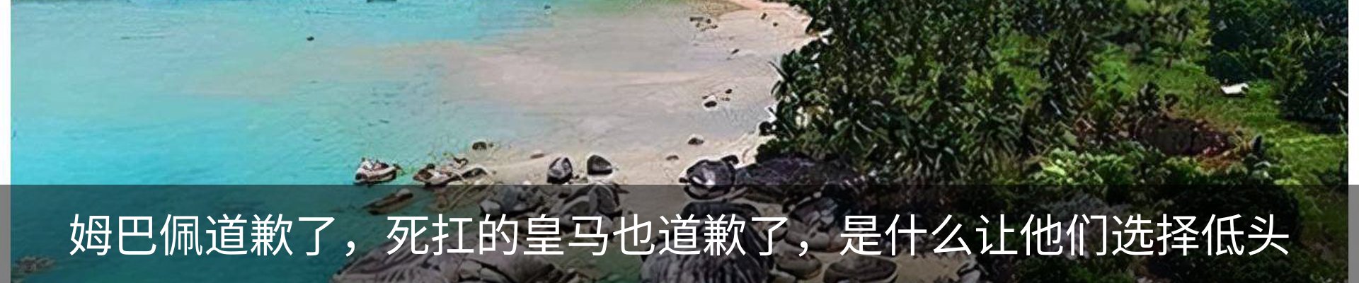 内页banner