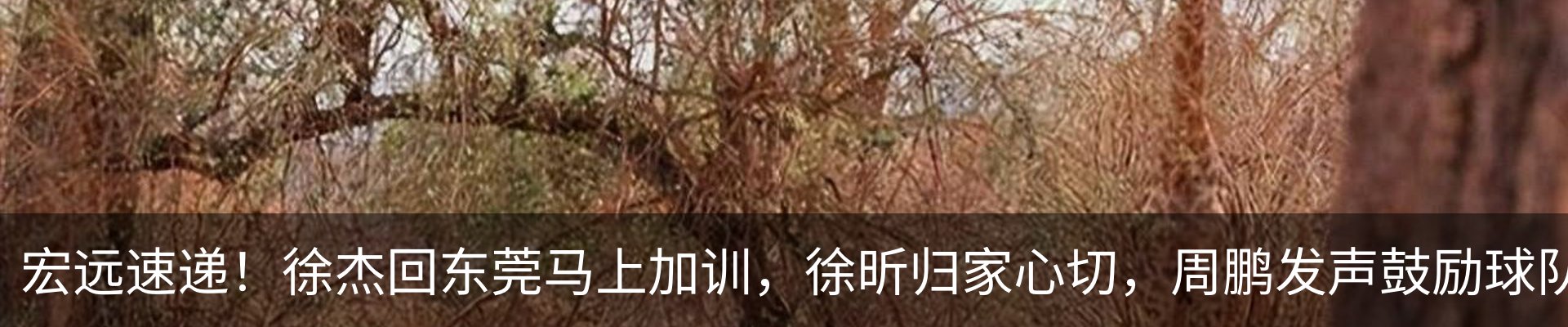 内页banner