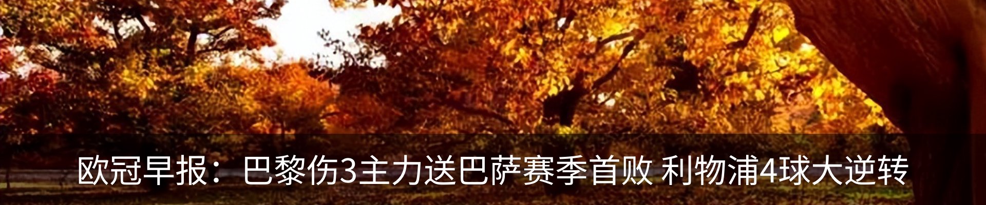 内页banner