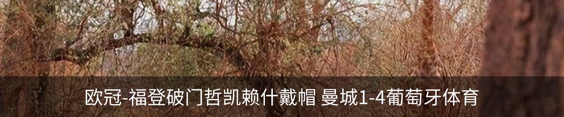 内页banner
