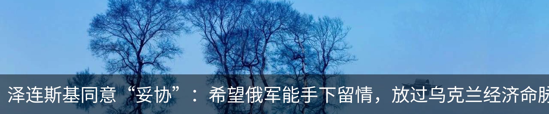 内页banner