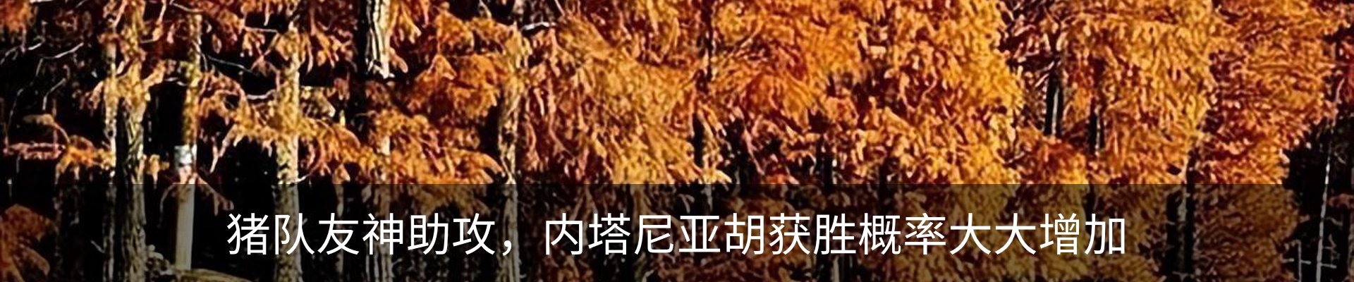 内页banner