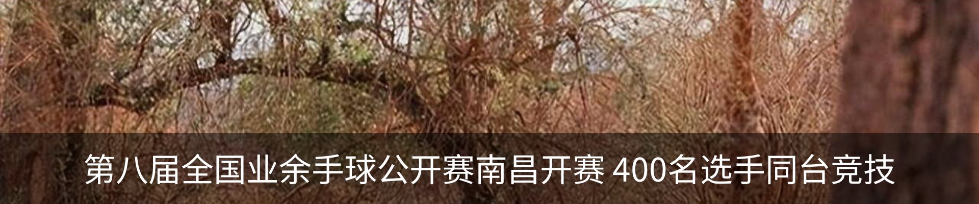 内页banner
