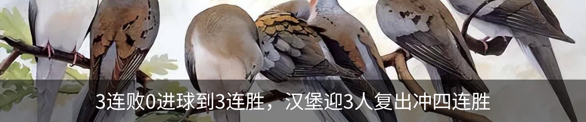 内页banner