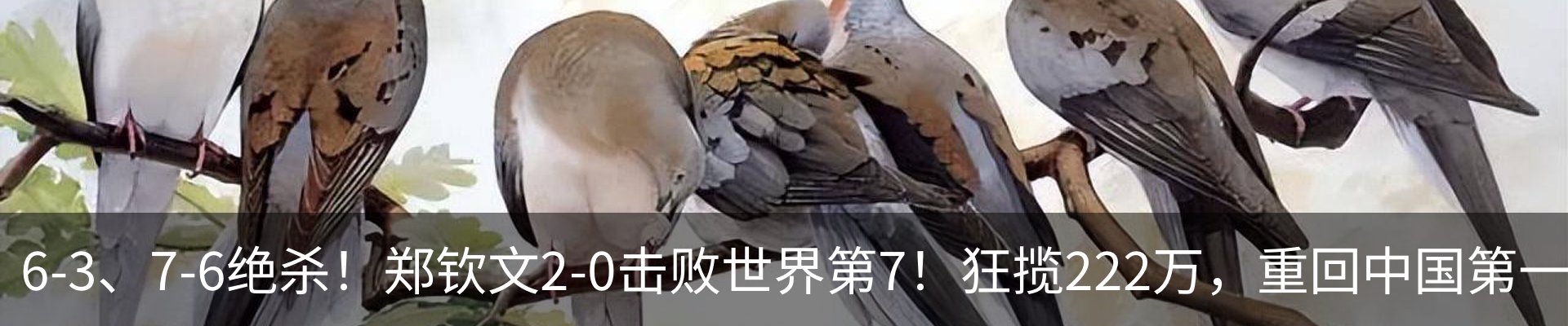 内页banner
